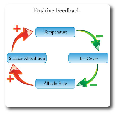 Positive feedback loop diagram